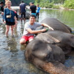 Elephant Paket Tour Tangkahan