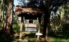 Bukit Lawang penginapan