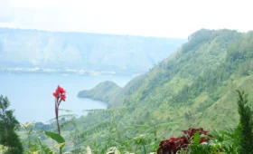 Apakah Danau Toba Bisa untuk Berenang