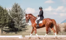 les berkuda di bandung