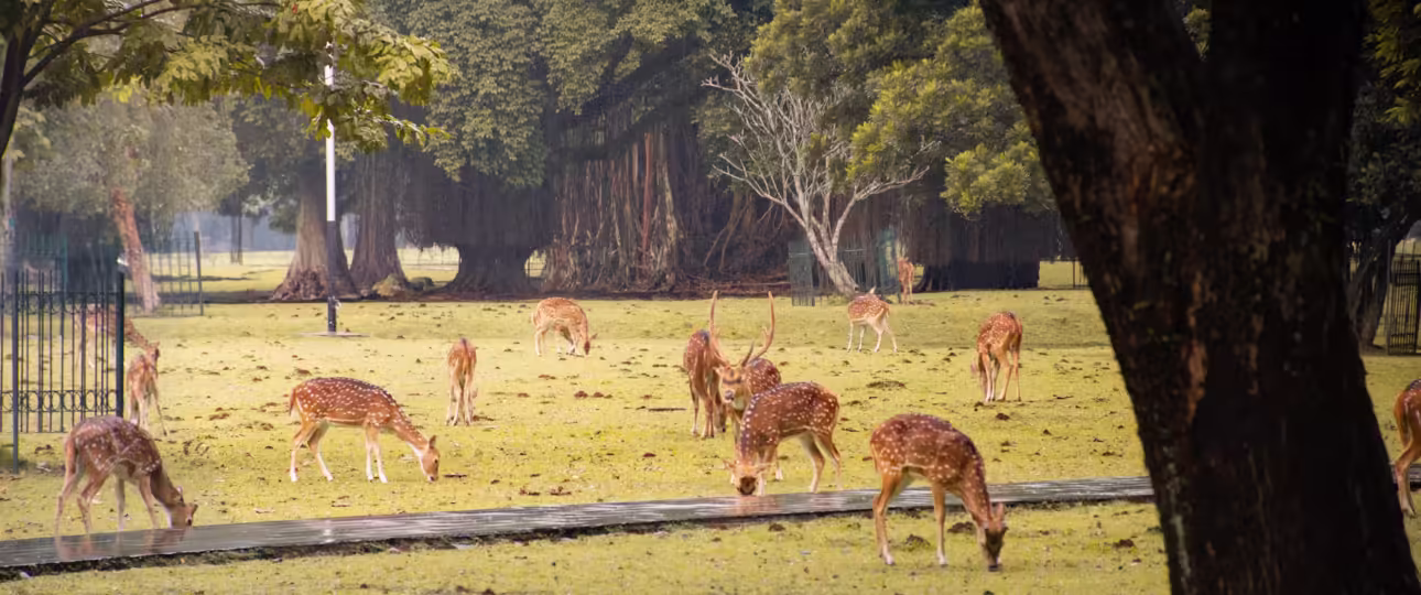 museum di Kebun Raya Bogor