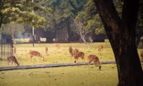 museum di Kebun Raya Bogor