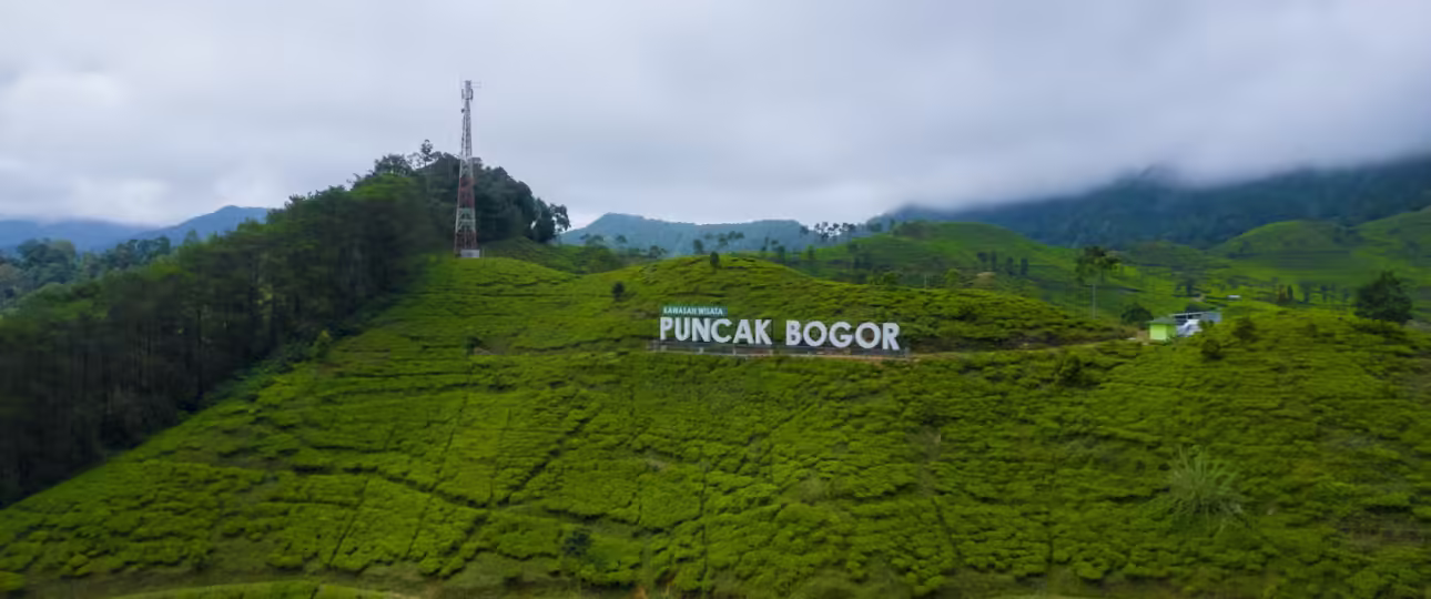 wisata dekat taman safari