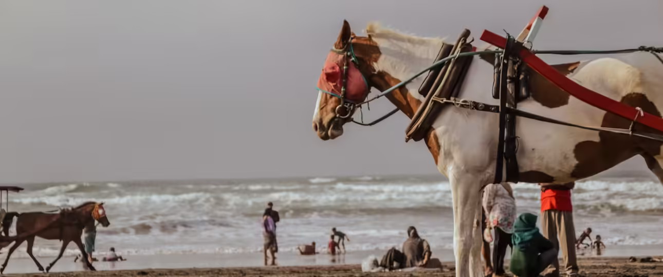 Pantai yang berada di Yogyakarta adalah