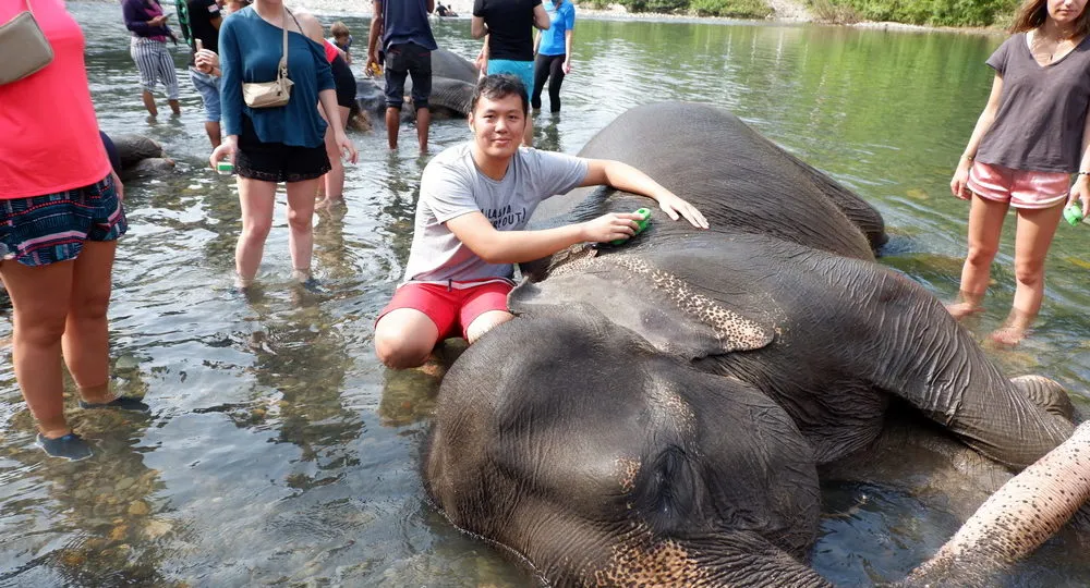 Elephant Paket Tour Tangkahan