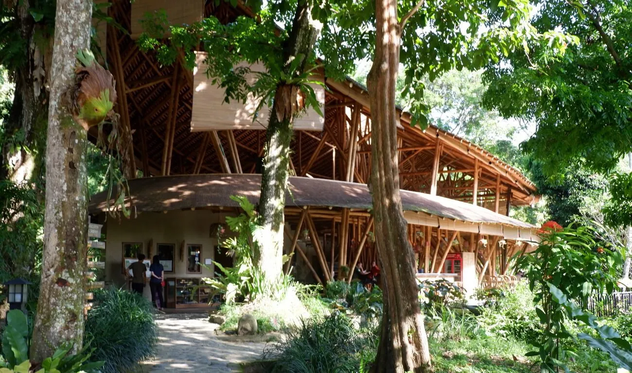 Hotel di Bukit Lawang