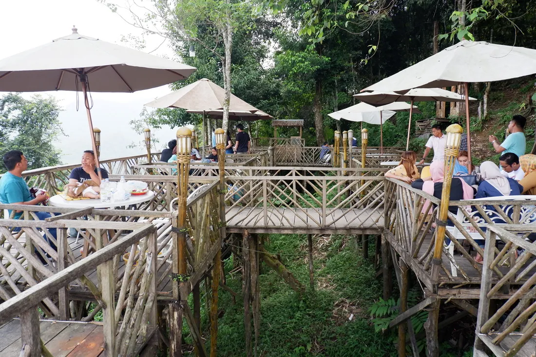 Pohon Habitat Wisata di Langkat