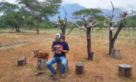 baluran