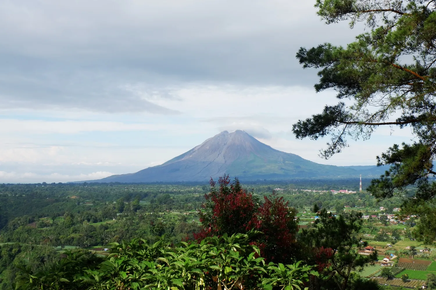 SInabung Dari Gundaling