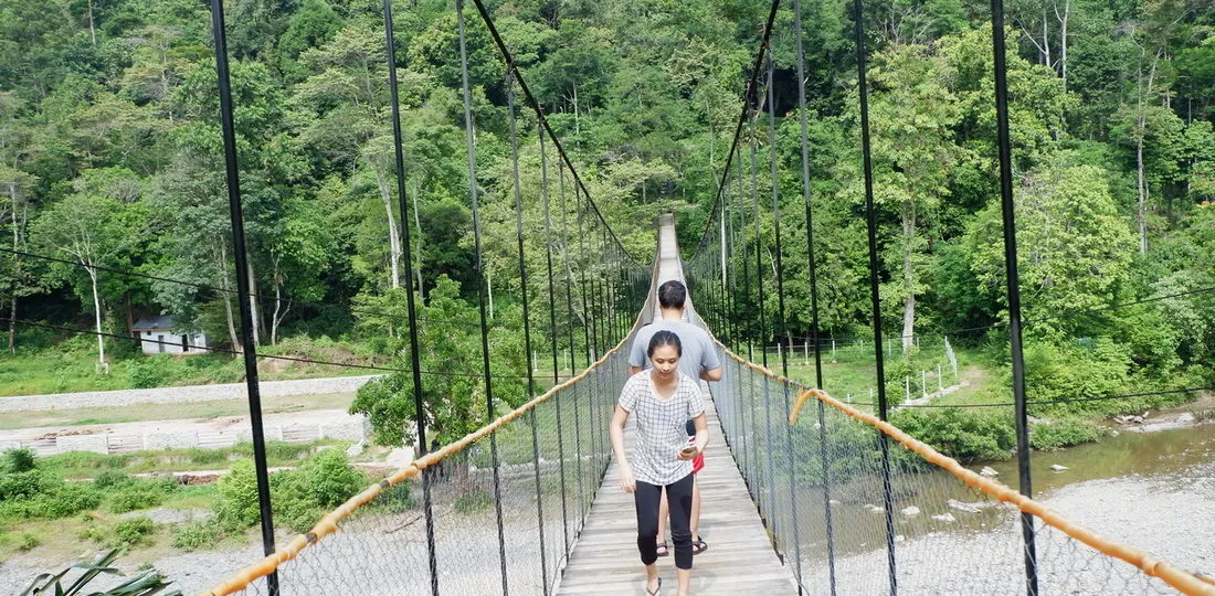 One Day Trip Tangkahan The Hidden Paradise