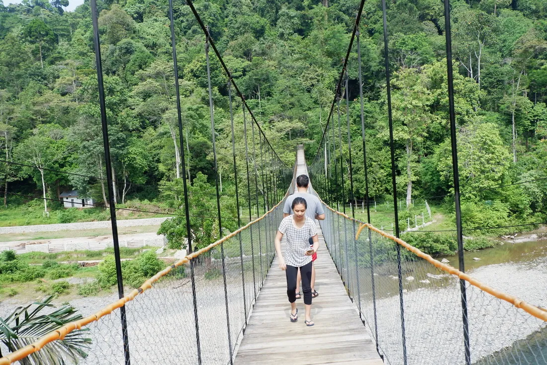 Paket Tour Tangkahan The Hidden Paradise