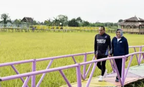 Wisata Sawah Pematang Johar