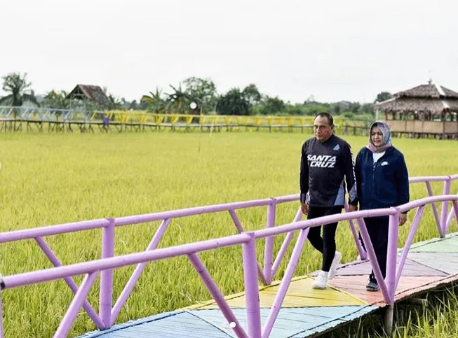 Wisata Sawah Pematang Johar