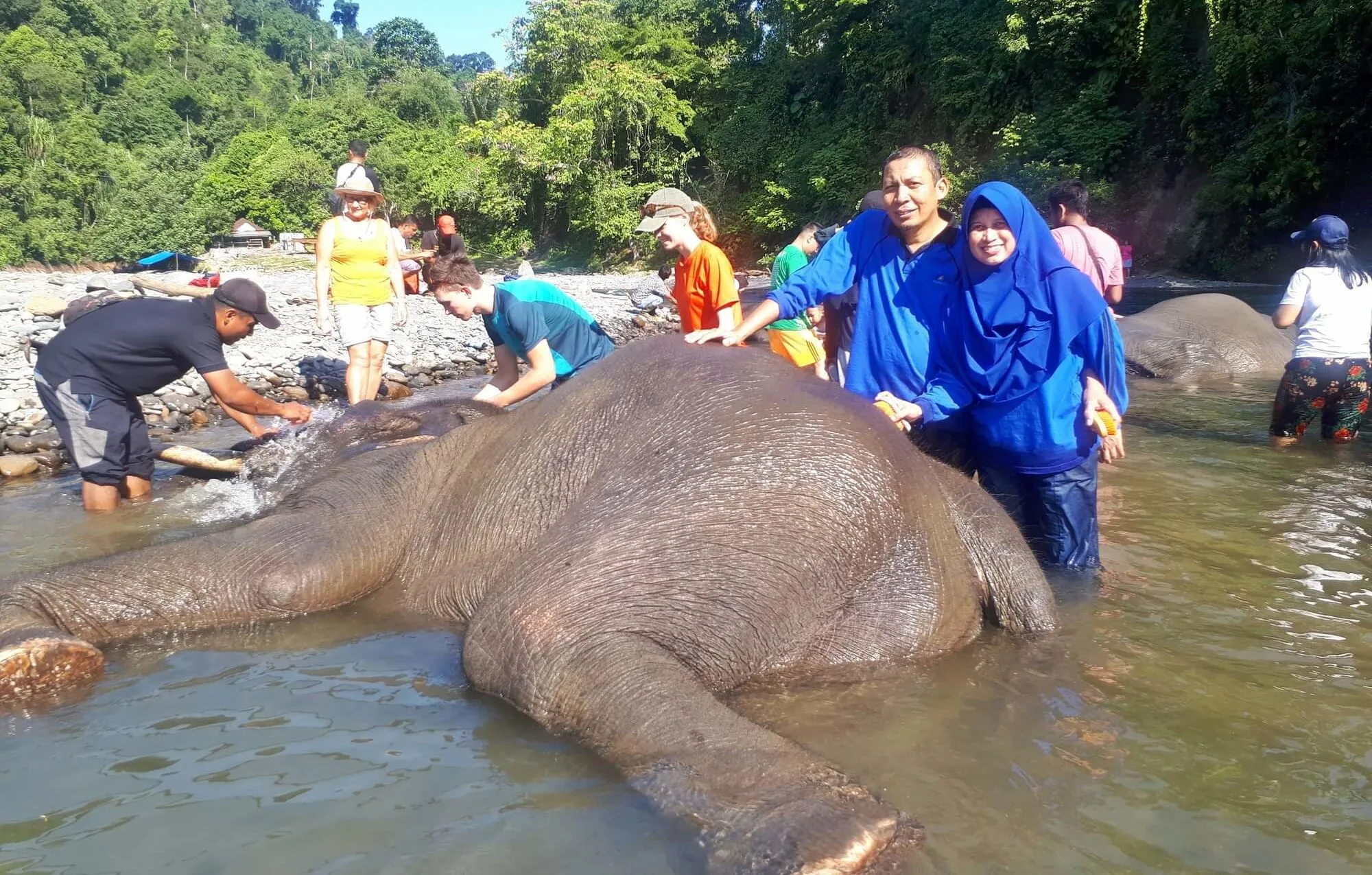Paket Wisata One Day Trip Tangkahan 2020