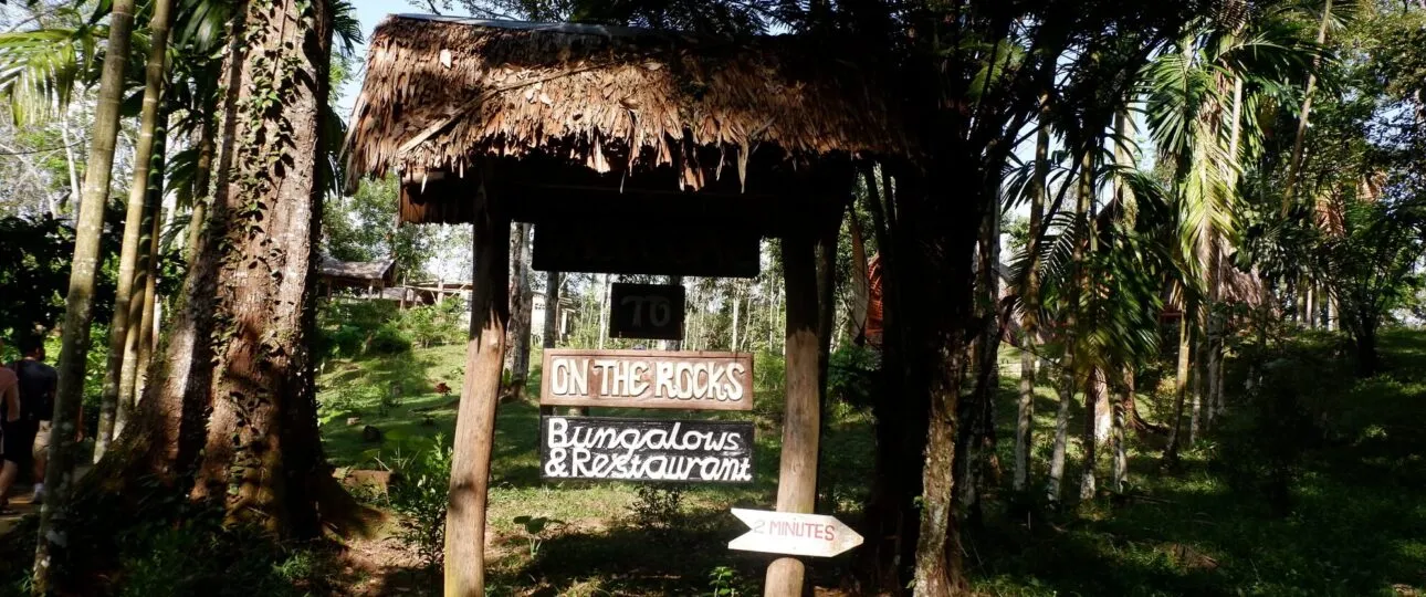 Bukit Lawang penginapan