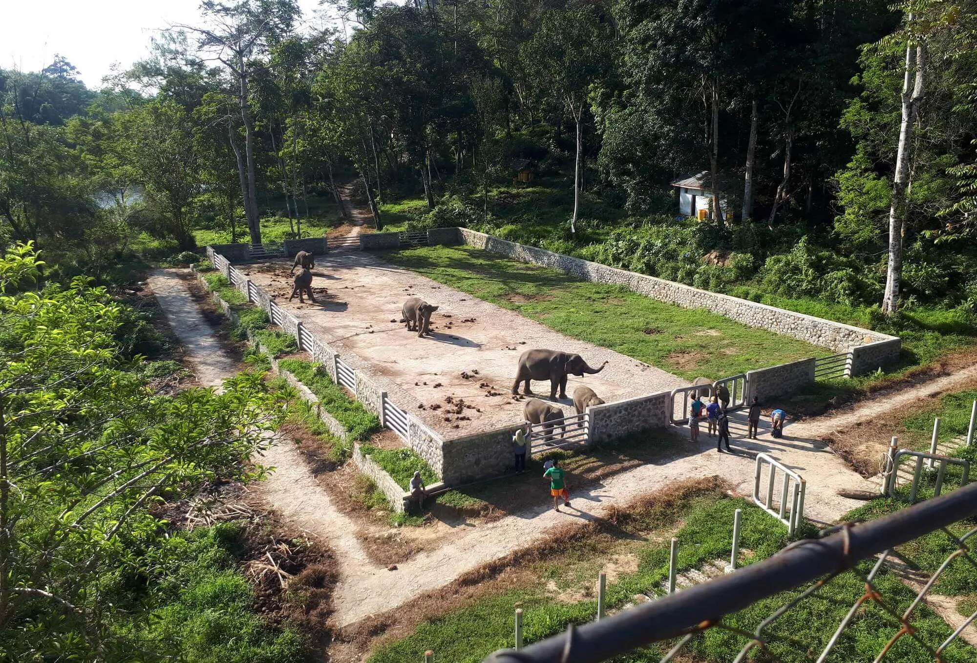 Kawasan Ekowisata Tangkahan