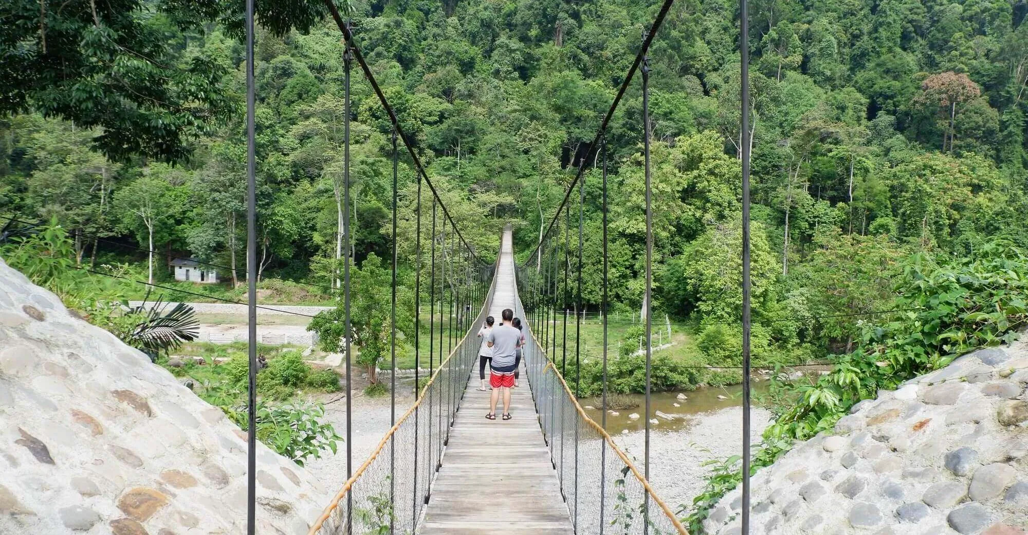 Ekowisata Tangkahan TNGl