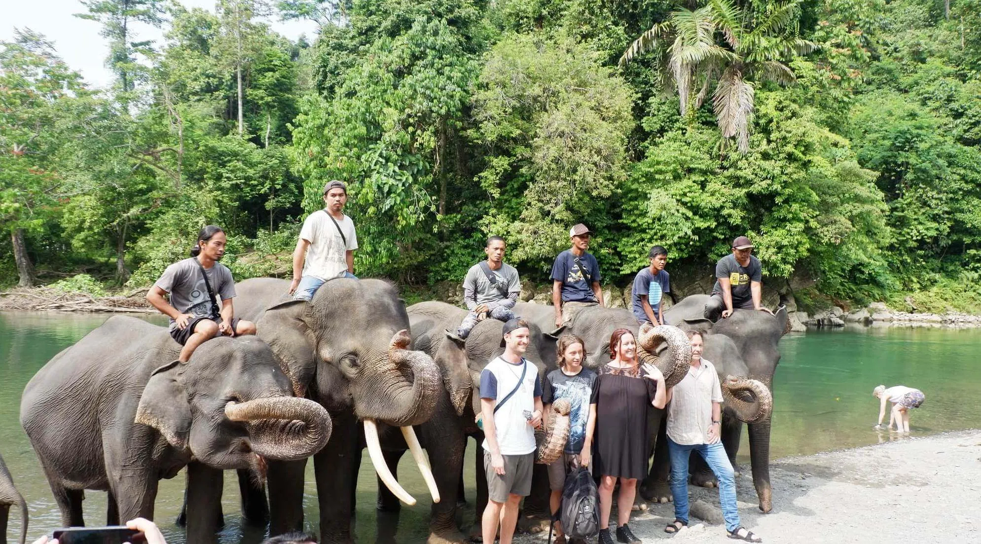 Ekowisata Tangkahan Konservasi Gajah Sumatera