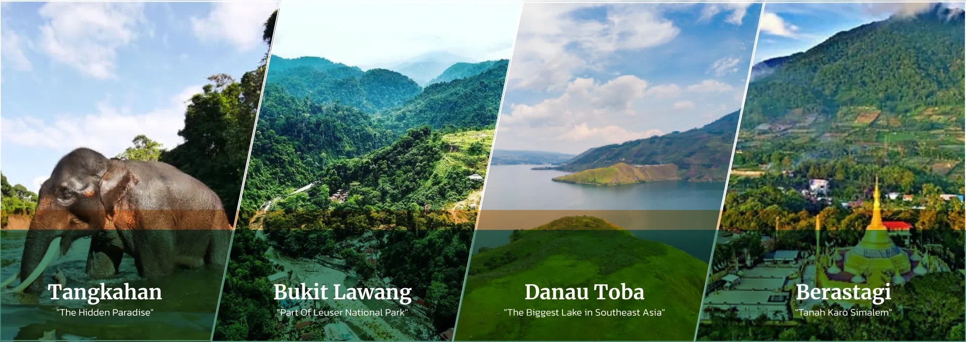 Tour Medan, danautoba, berastagi, tangkahan bukit lawang