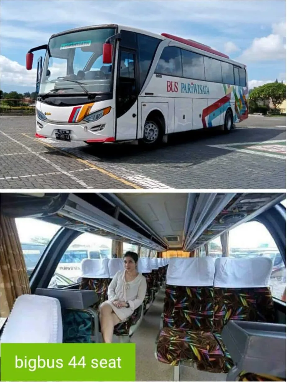 Bus Pariwisata Big Bus 44 Bangku