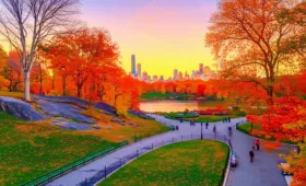Central Park Kecantikan Taman Kota Di Manhattan