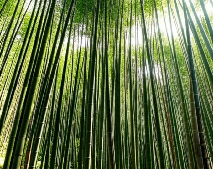 Dusun Bambu Lembang Sebuah Surga Tersembunyi Di Bandung