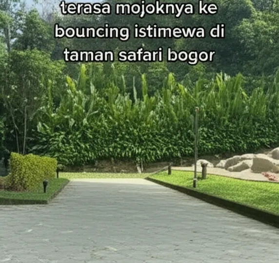 Pengalaman Tak Tergantikan Di Taman Safari Bogor