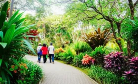 Tempat Wisata Terdekat Yang Menawarkan Pengalaman Unik Dan Tak Terlupakan